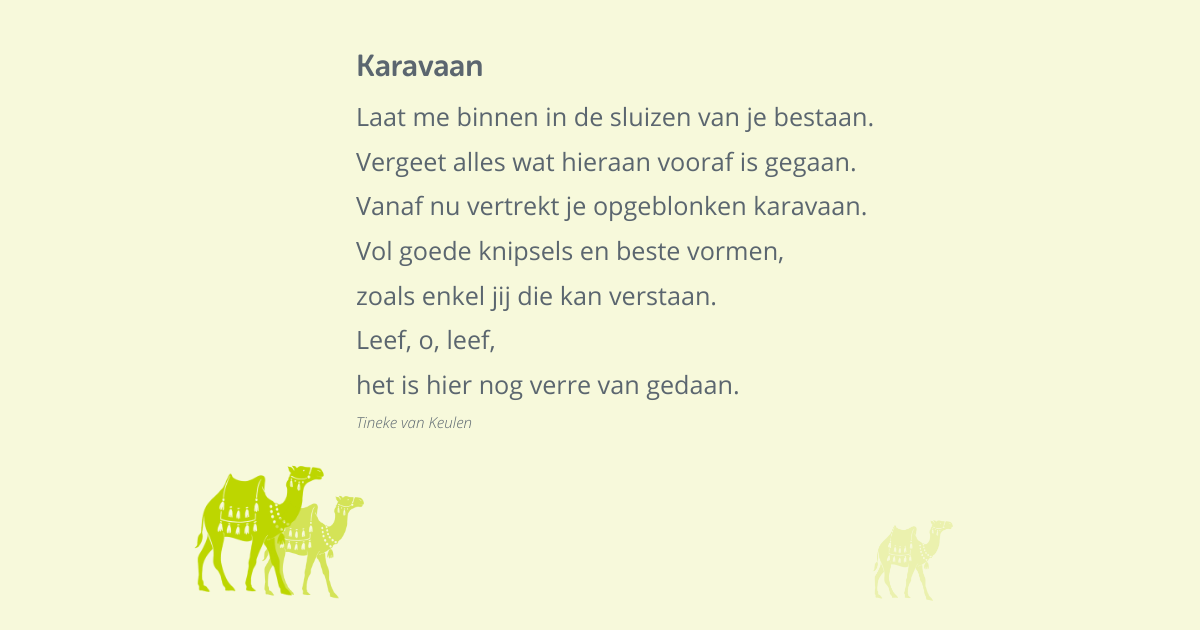 'Karavaan' van Tineke van Leuven