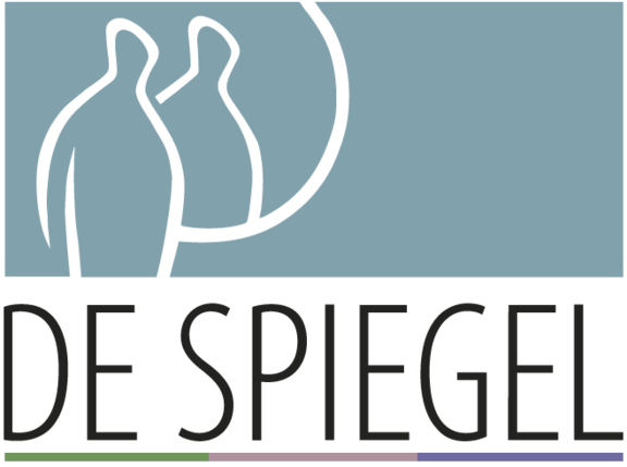 de-spiegel